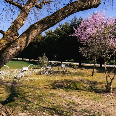 לינה וארוחת בוקר Il Giardino Di Rebecca פררה