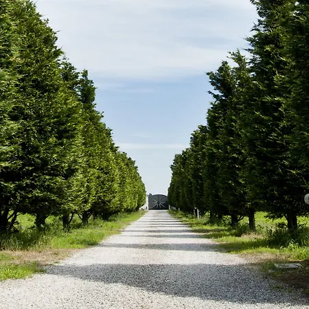Il Giardino Di Rebecca ベッド・アンド・ブレックファスト フェラーラ