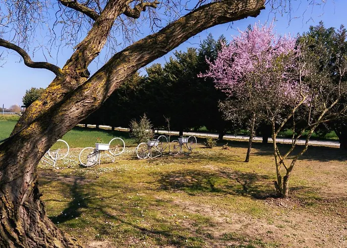 Bed and Breakfast Il Giardino Di Rebecca Φεράρα
