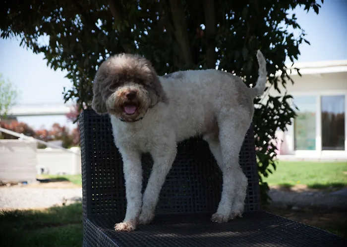 Il Giardino Di Rebecca 4* Φεράρα